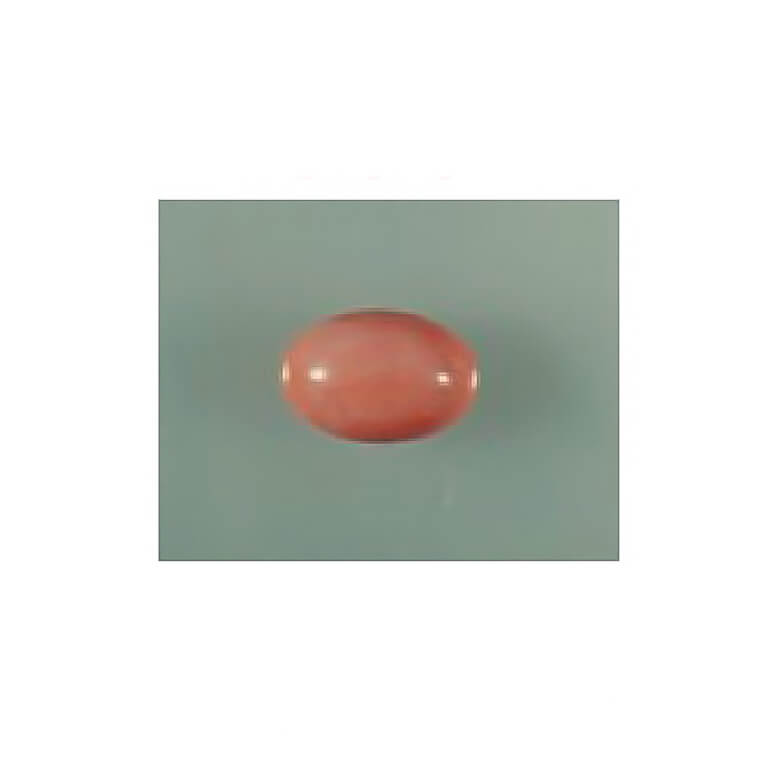 リフォーム前のサンゴのルース